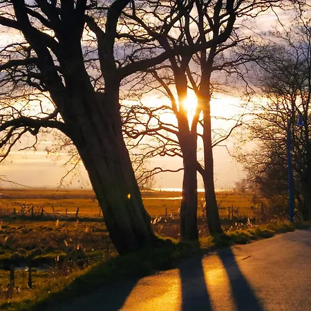 アパート Strandhaus Alte Toepferei *