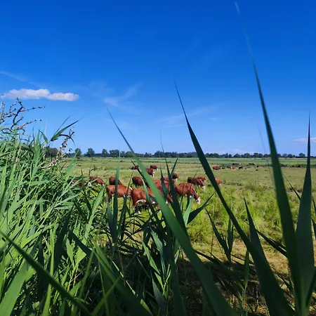 Strandhaus Alte Toepferei アパート *
