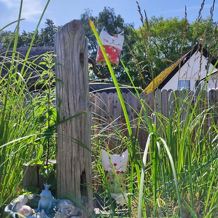 アパート Strandhaus Alte Toepferei ミデルハーゲン