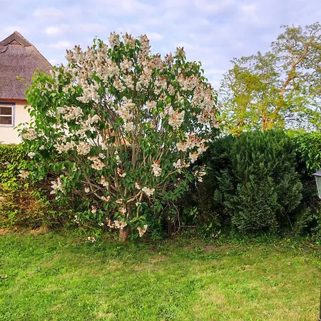 Strandhaus Alte Toepferei ミデルハーゲン