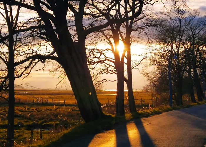 شقة Strandhaus Alte Toepferei *