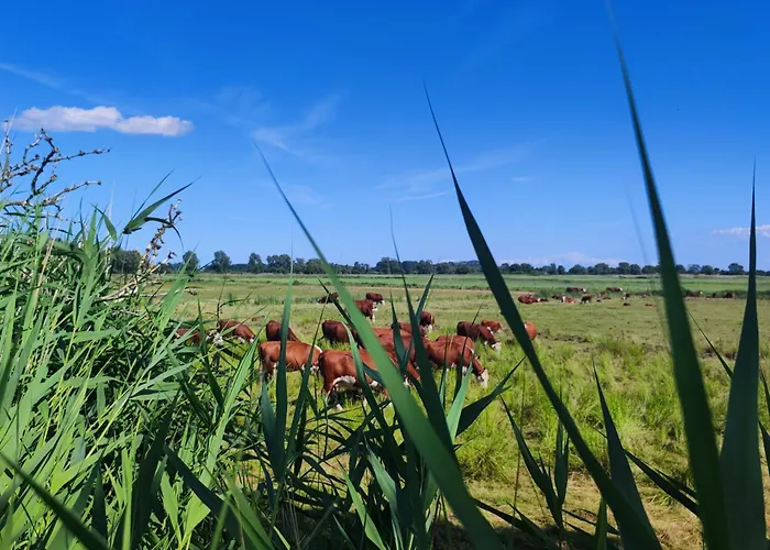 Strandhaus Alte Toepferei شقة *