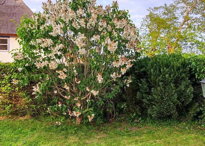 Strandhaus Alte Toepferei ميديلهاغن
