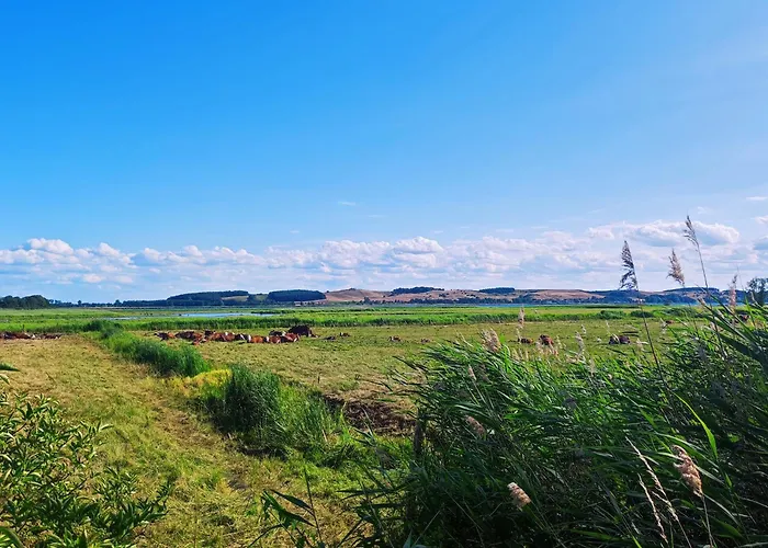 Strandhaus Alte Toepferei *